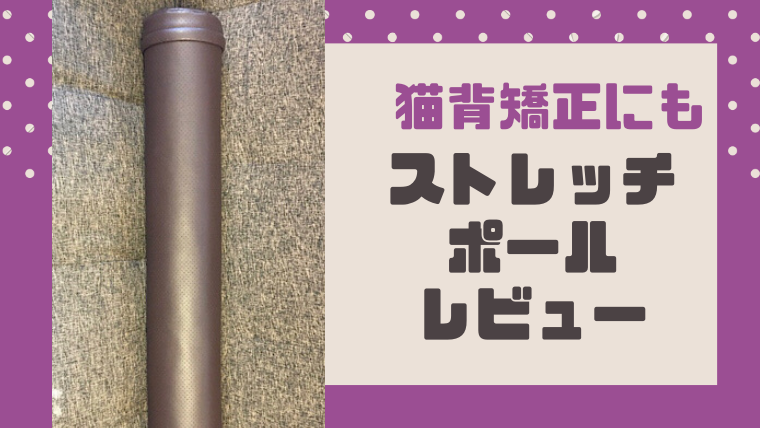 ストレッチポール 筋トレで猫背矯正した効果とは 毎週整体に通った僕の結論 はげまるブログ